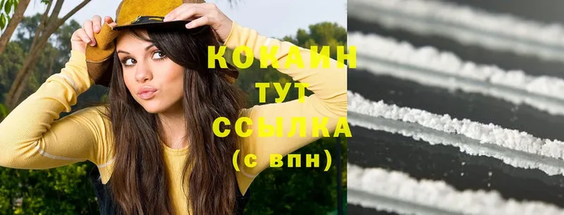 MEGA зеркало  Карачаевск  Cocaine Columbia  купить наркотики цена 